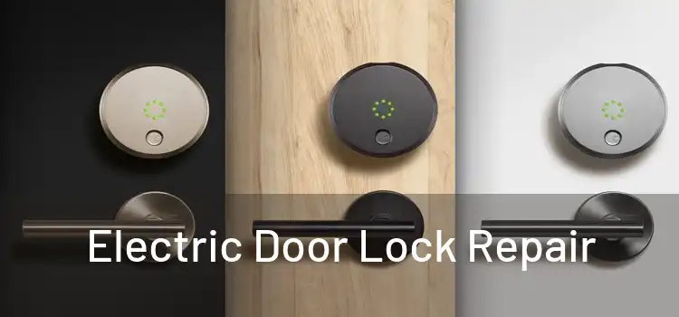 Electric Door Lock Repair