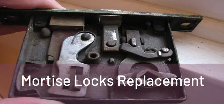 Mortise Locks Replacement